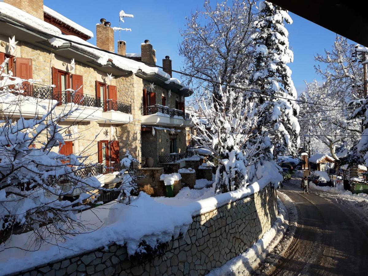 Mysaion Hotel Synikia Mesi Trikalon Esterno foto